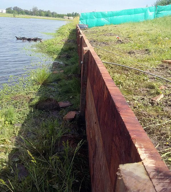 Estacada de madera en laguna